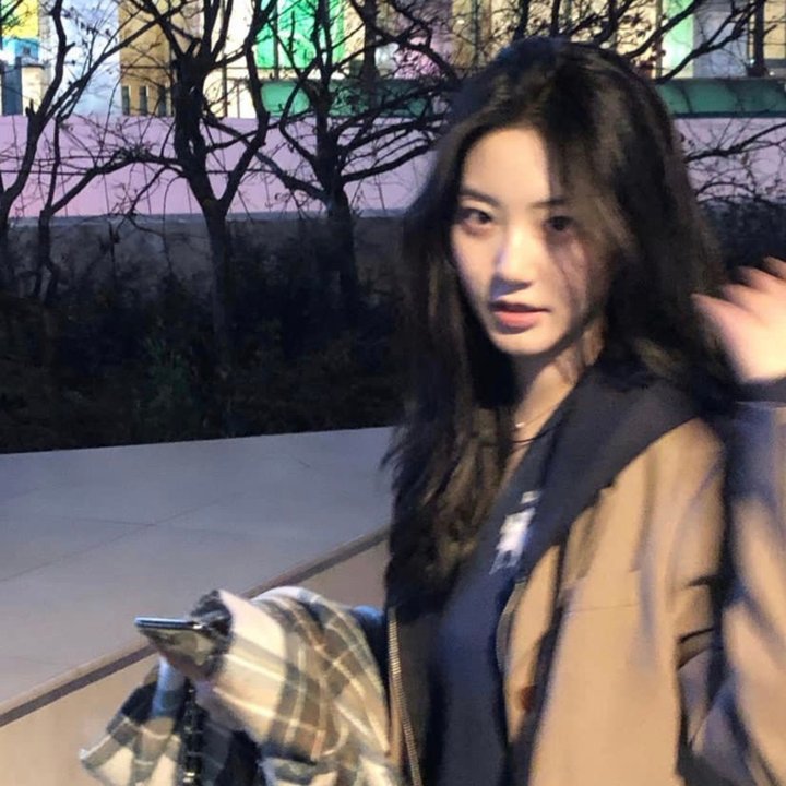 泰山传奇:森林争霸